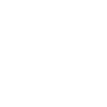 Vison Icon
